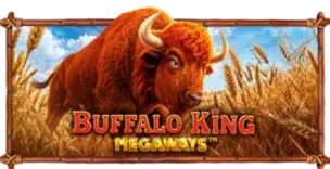 ภาพเกม Buffalo King Megaways ที่ garena168 รวบรวมไว้